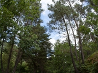 img_5931-copy