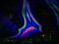 fractal-iris_-photography_insomnia2025-1011