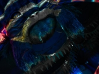 fractal-iris_-photography_insomnia2025-1051