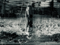 fractal-iris_-photography_insomnia2025-2019