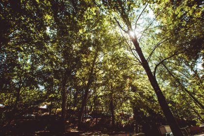 04092015-1v3a0935
