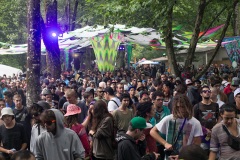 Insomnia 2014 - Dia 2