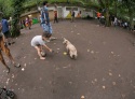 mg_6427-copy
