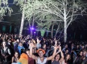 img_5528-copy