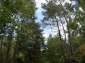 img_5931-copy