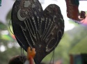 mg_3631-copy