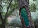 mg_3714-copy