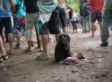 mg_4163-copy