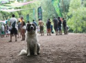 mg_4243-copy