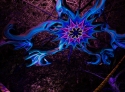 insomnia128