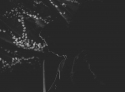 insomnia165