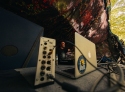 insomnia426