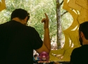 pics-330