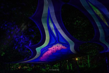 fractal-iris_-photography_insomnia2025-1011