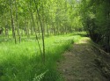 img_0663