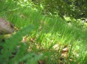 img_0671
