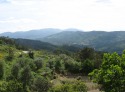 img_0709