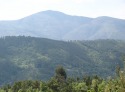 img_0711