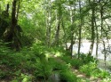 img_0727